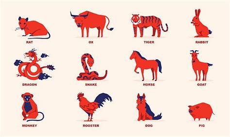 12生效|Chinese Zodiac: 12 Animal Signs, Personality & Compatibility